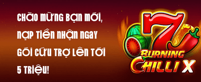 Thưởng Chào Mừng 100% Tân Thủ promotion banner